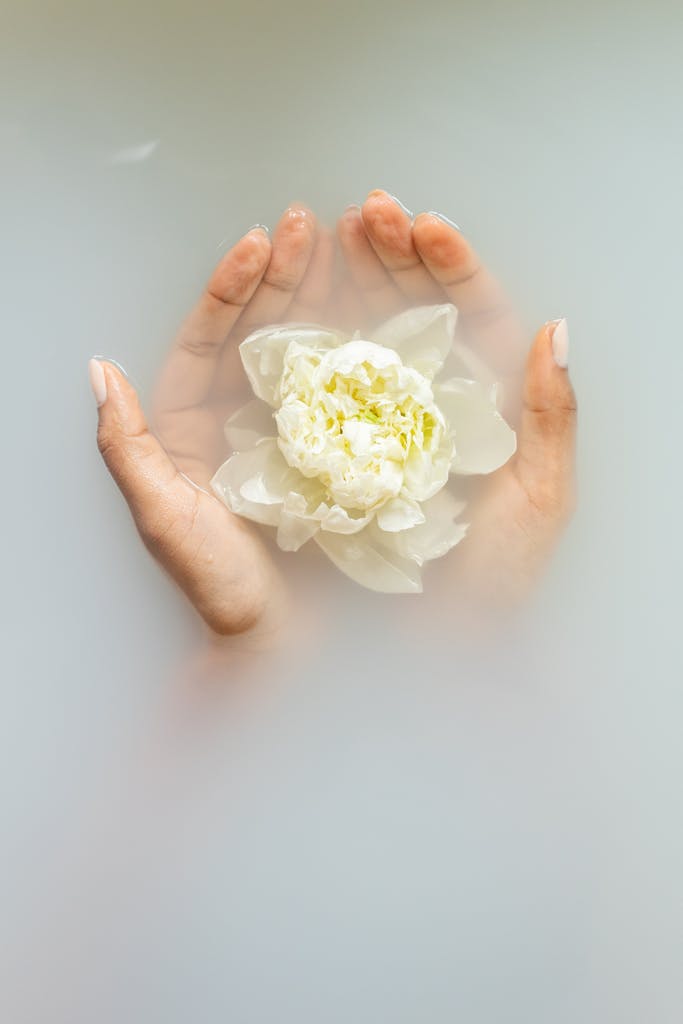 Unrecognizable female with soft manicured hands holding white flower with delicate petals in hands during spa procedures